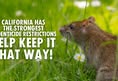 Direct Action Everywhere - DxE