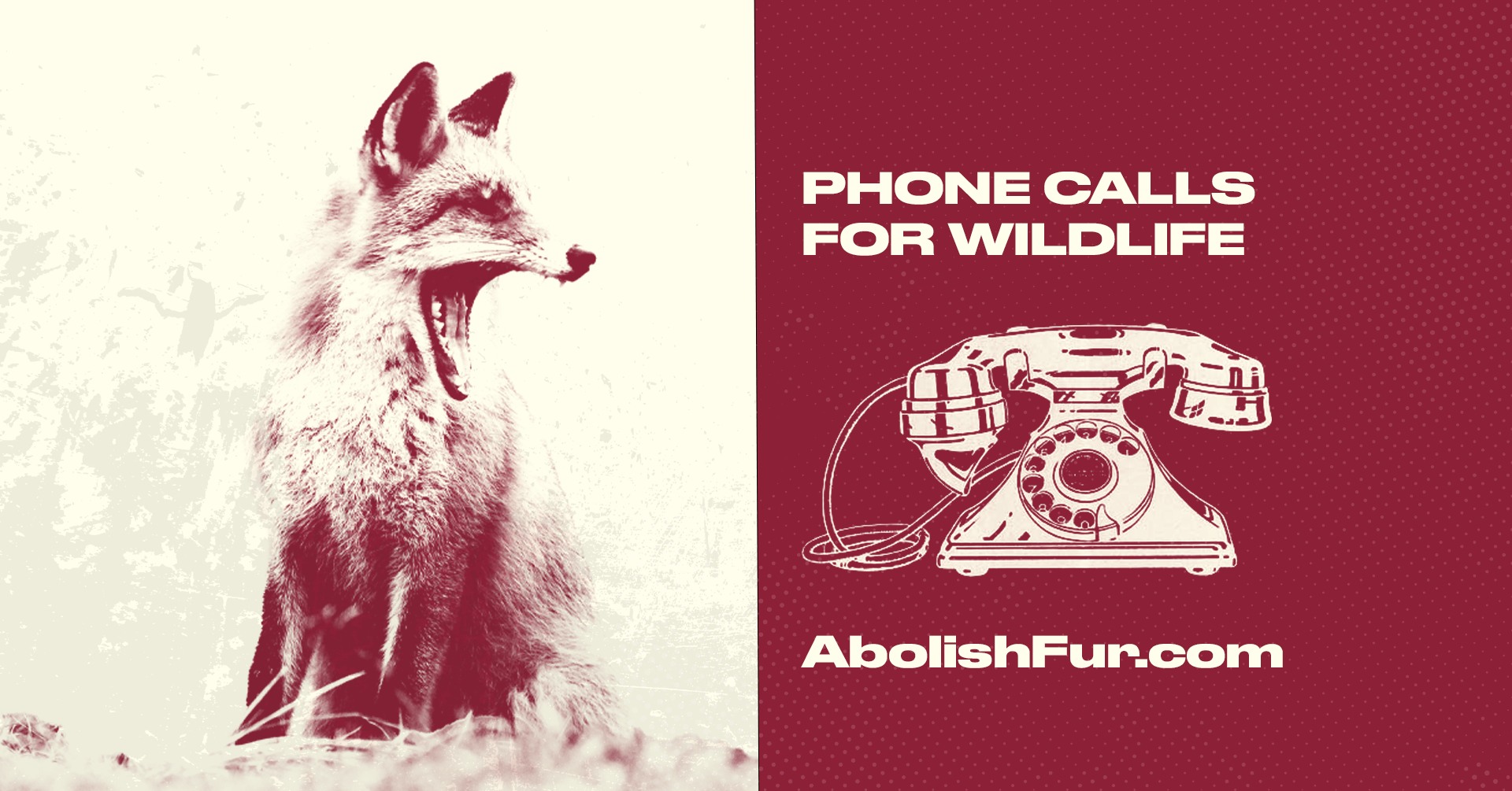 Coalition to Abolish the Fur Trade - CAFT