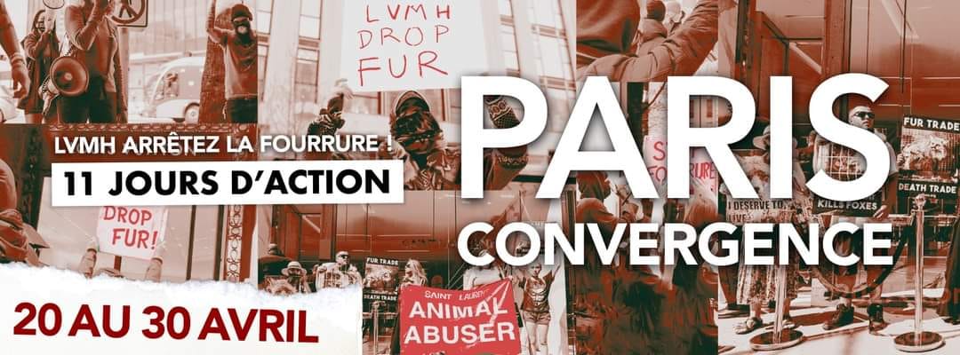 Coalition to Abolish the Fur Trade