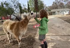 Coalition to Abolish the Fur Trade - CAFT