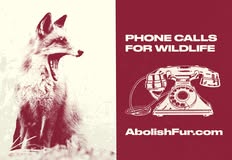 Coalition to Abolish the Fur Trade - CAFT