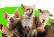 Coalition to Abolish the Fur Trade - CAFT
