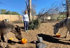 Coalition to Abolish the Fur Trade - CAFT