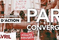 Coalition to Abolish the Fur Trade - CAFT