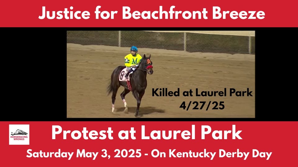 Horseracing Wrongs
