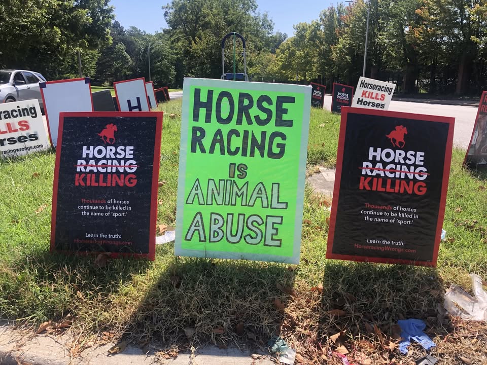 Horseracing Wrongs