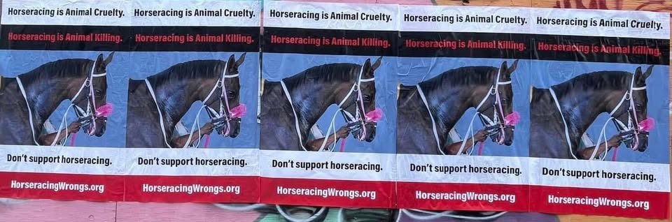 Horseracing Wrongs