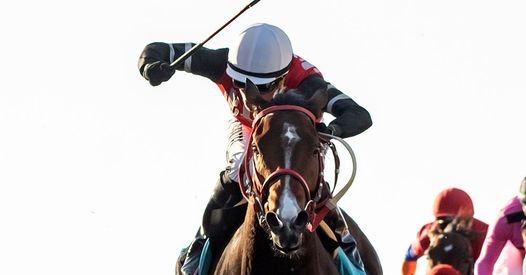 Horseracing Wrongs