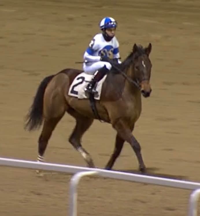 Horseracing Wrongs