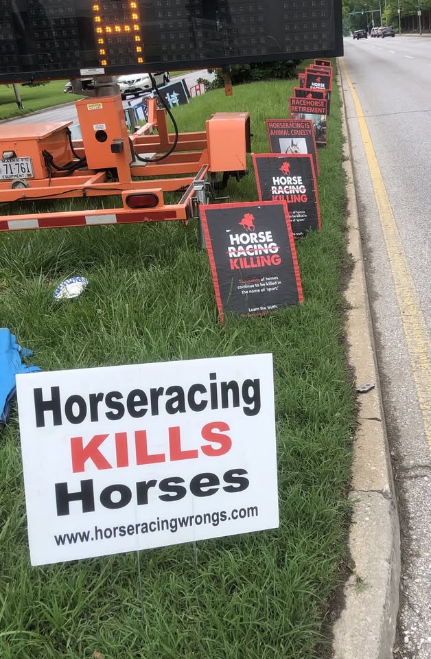 Horseracing Wrongs