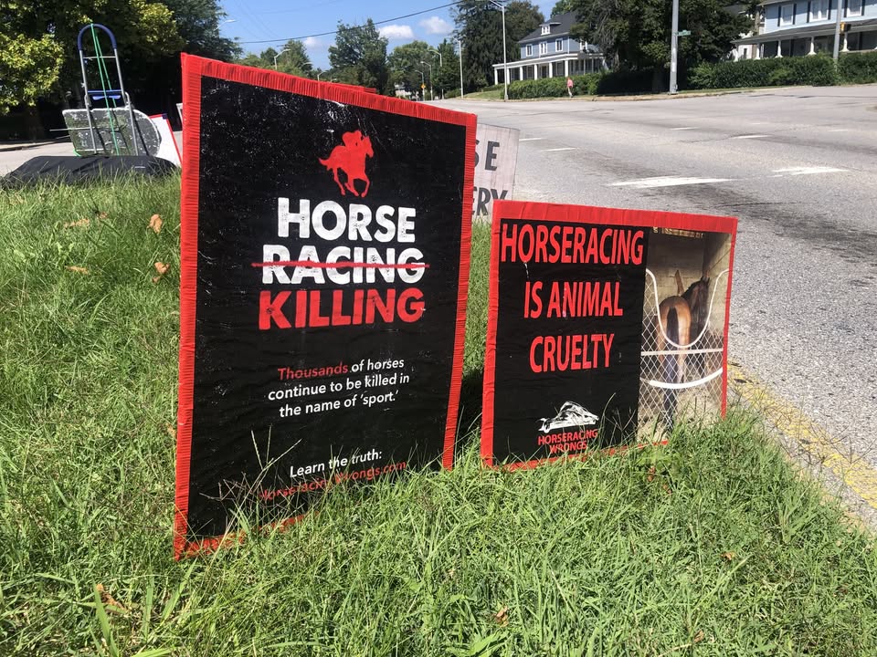 Horseracing Wrongs