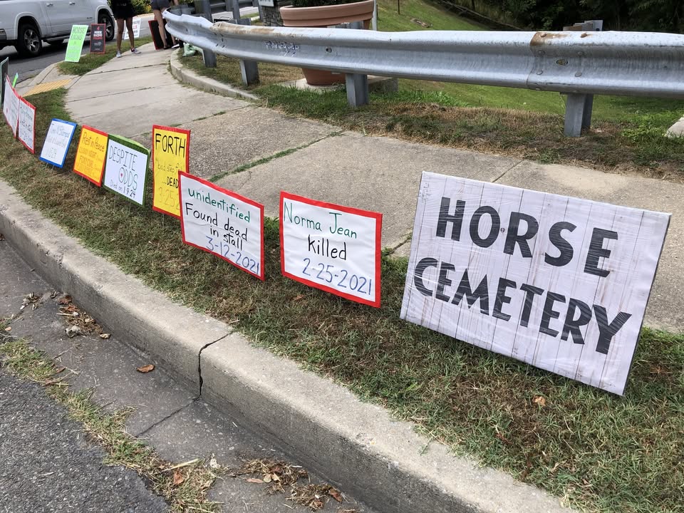 Horseracing Wrongs
