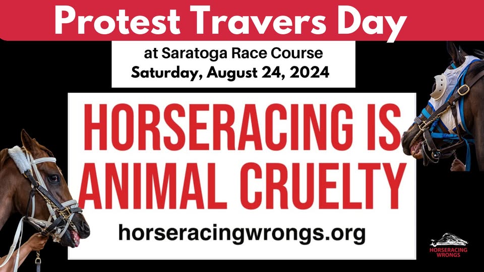 Horseracing Wrongs