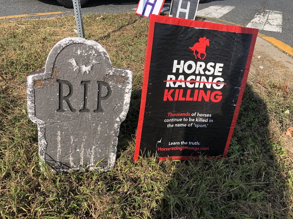 Horseracing Wrongs