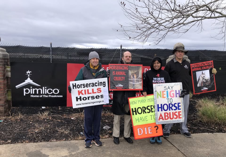 Horseracing Wrongs