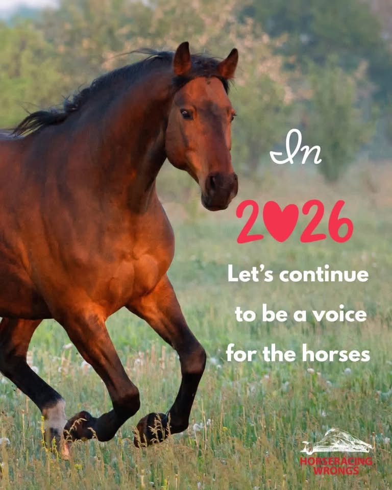 Horseracing Wrongs