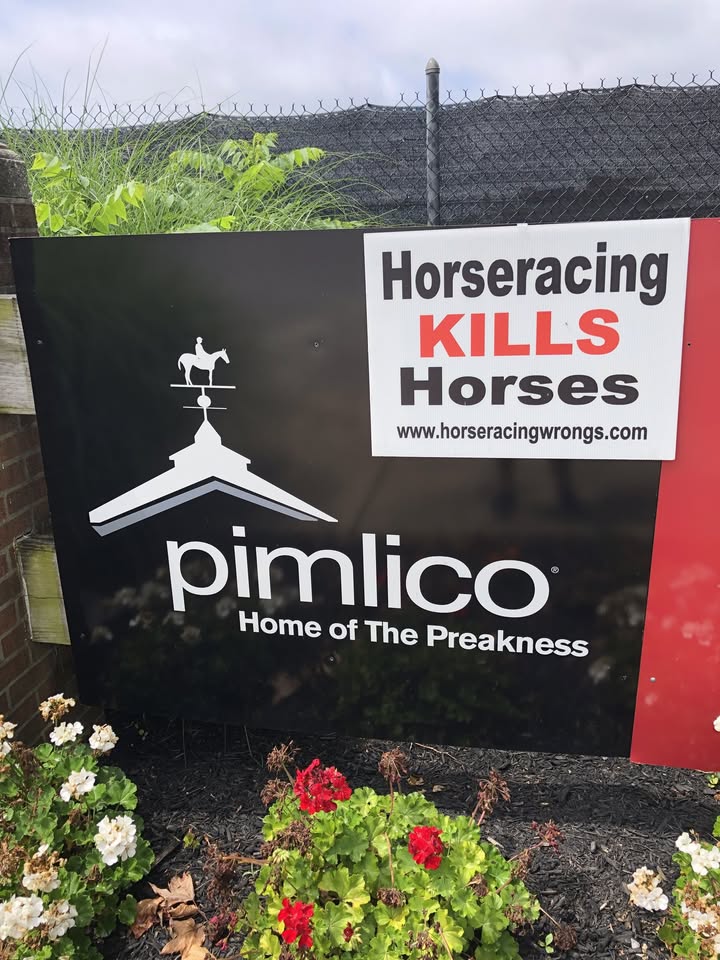 Horseracing Wrongs