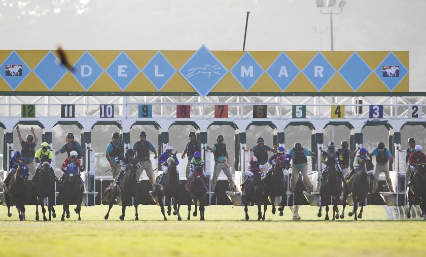 Horseracing Wrongs