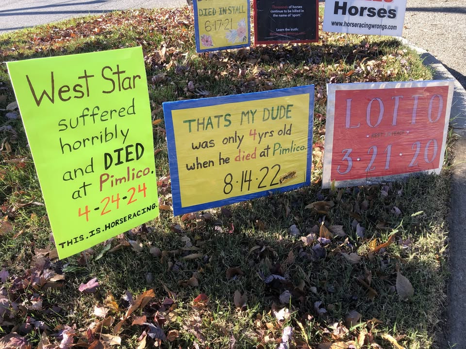 Horseracing Wrongs