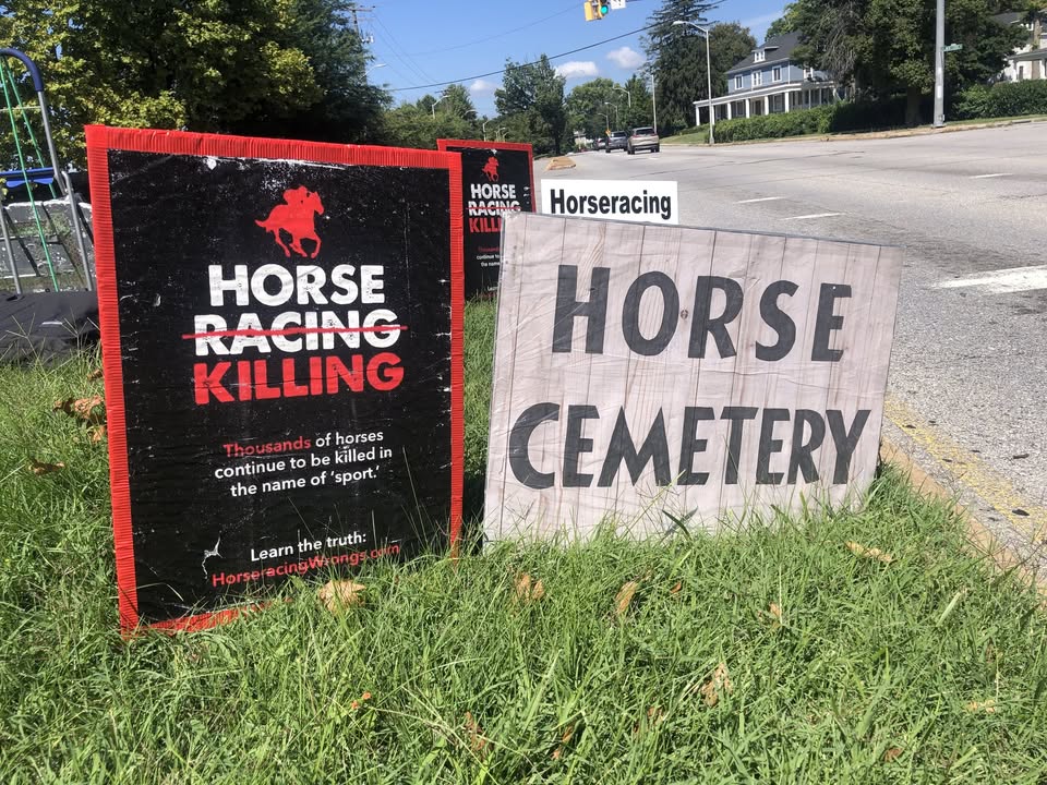 Horseracing Wrongs