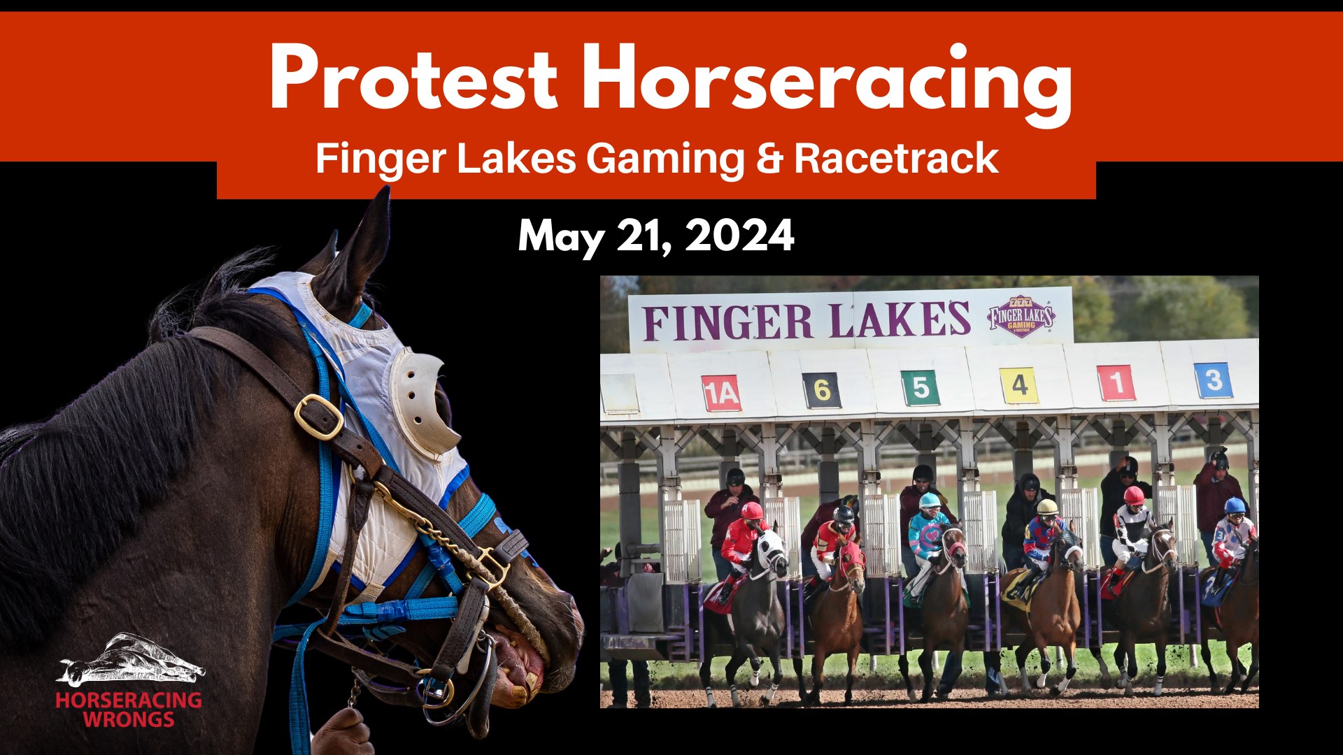 Horseracing Wrongs