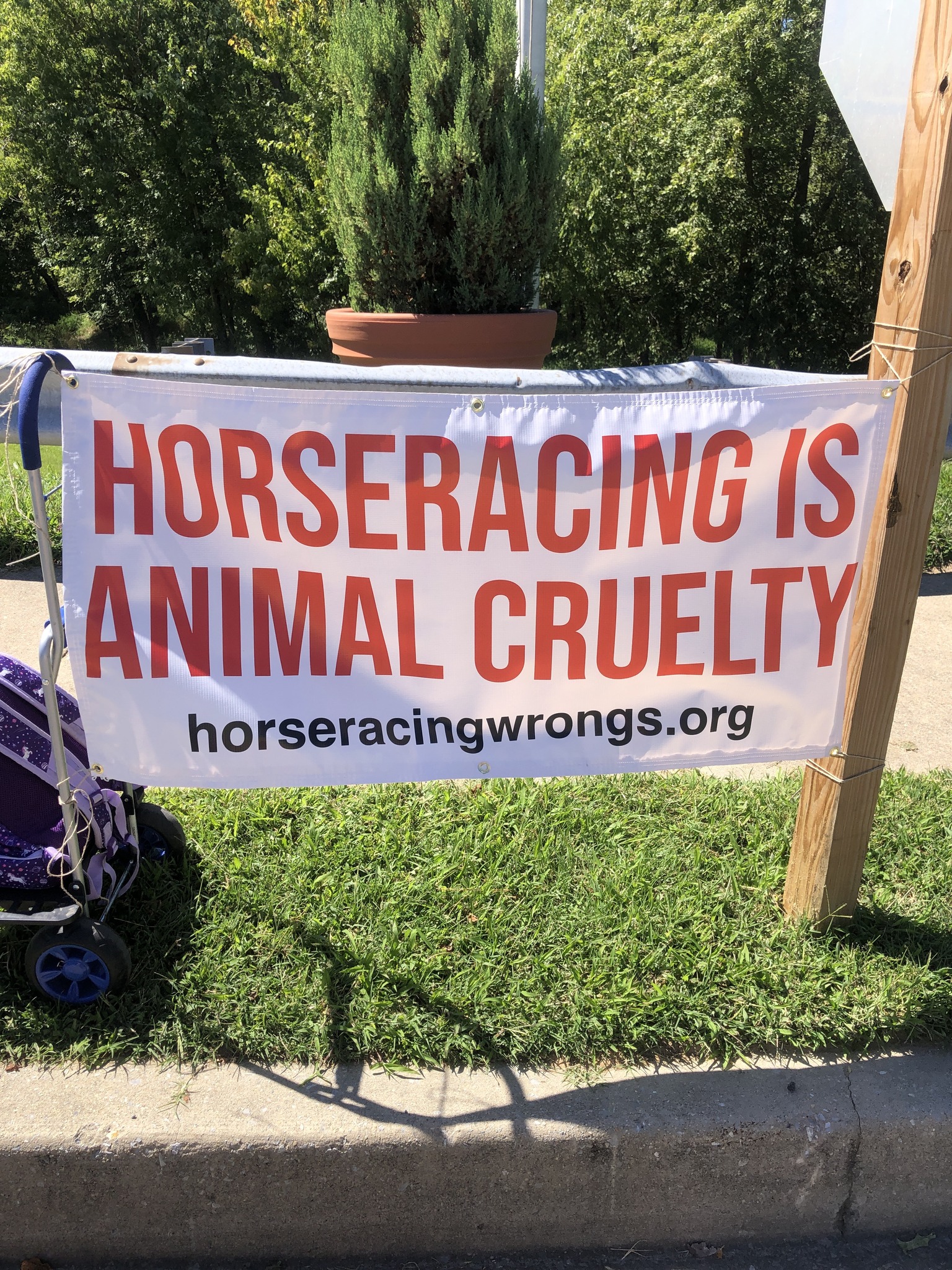 Horseracing Wrongs
