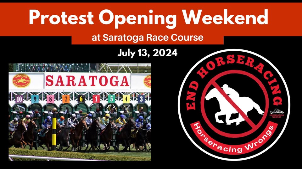 Horseracing Wrongs