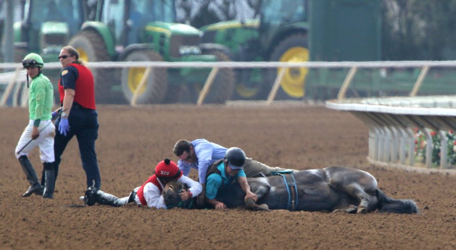 Horseracing Wrongs