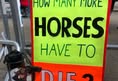 Horseracing Wrongs