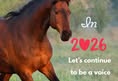 Horseracing Wrongs