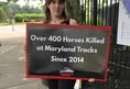Horseracing Wrongs