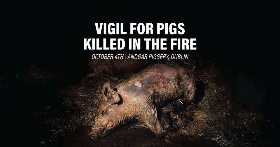 Farm Transparency Project