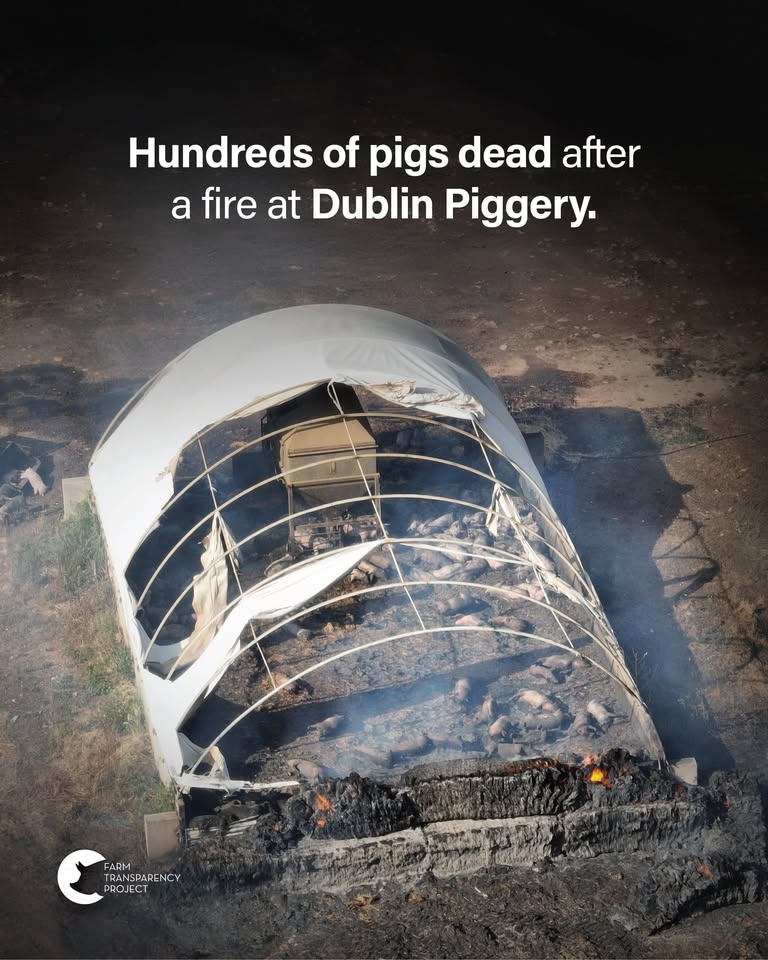 Farm Transparency Project