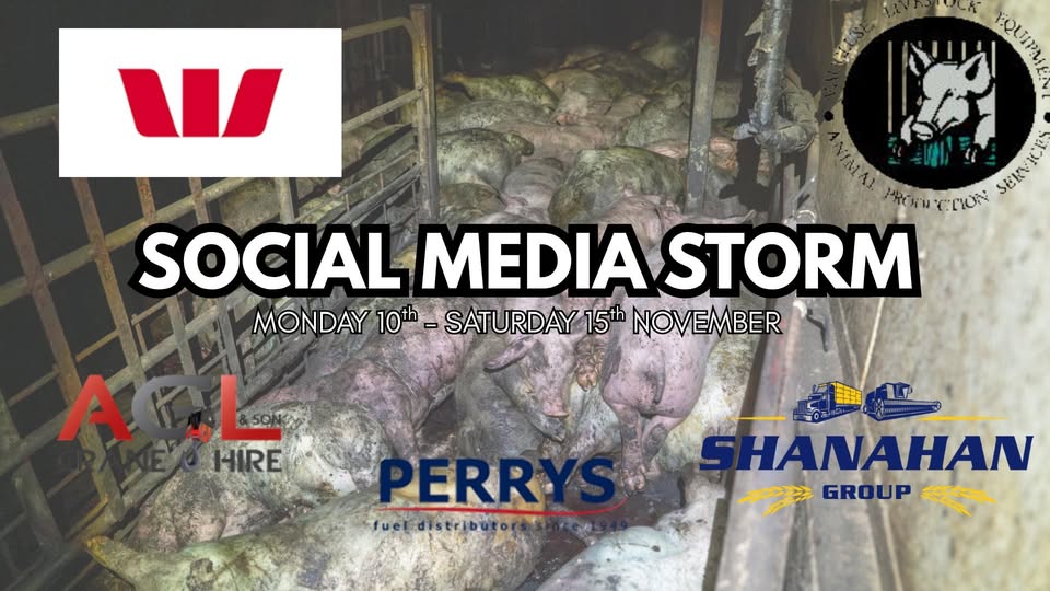 Farm Transparency Project