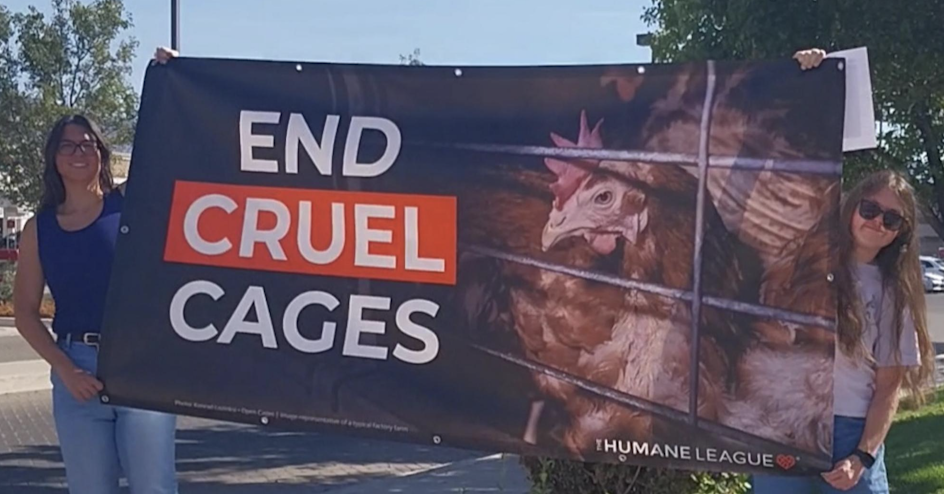 The Humane League
