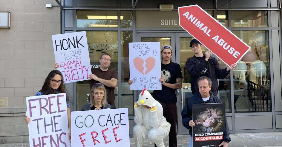 The Humane League