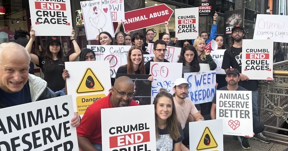 The Humane League