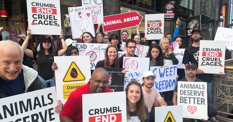 The Humane League