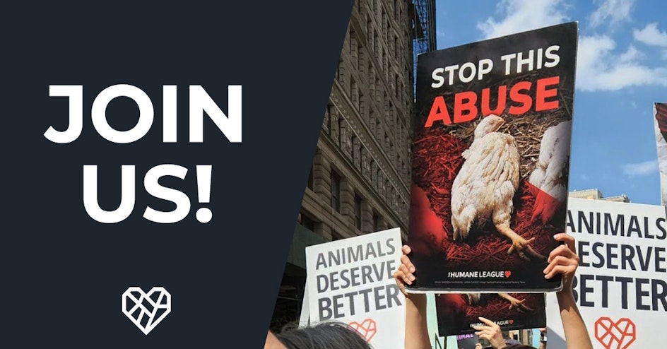The Humane League