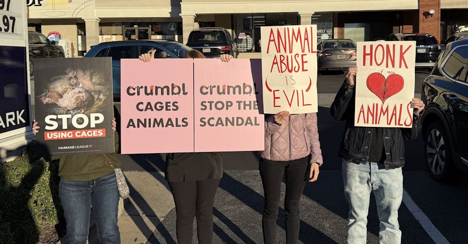 The Humane League