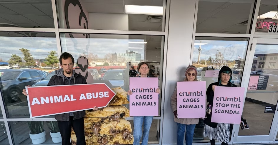 The Humane League