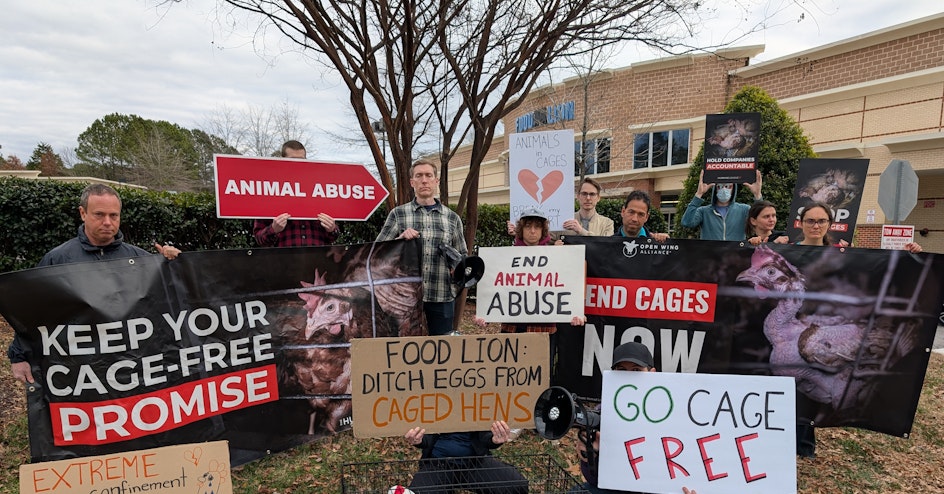 The Humane League