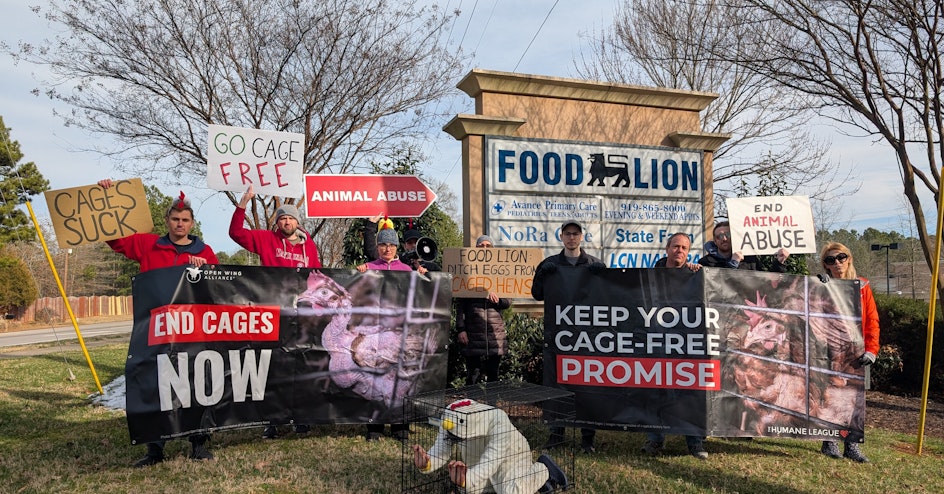 The Humane League