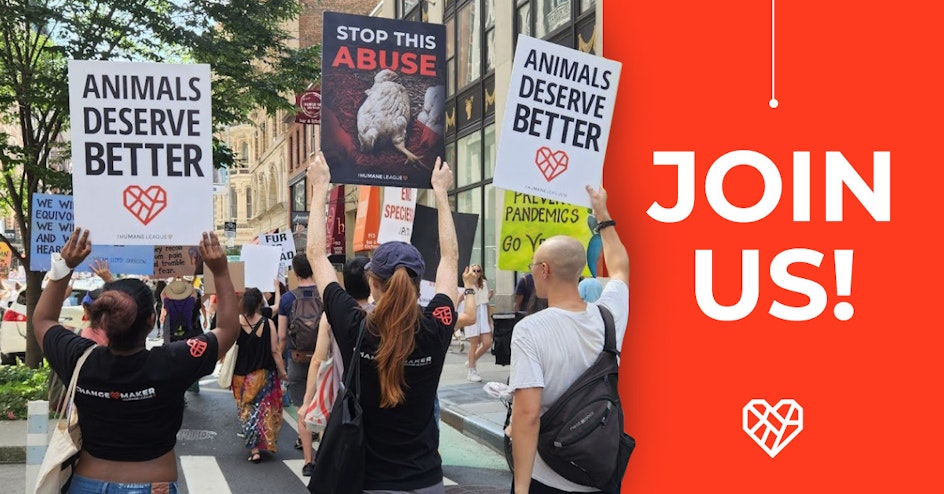 The Humane League