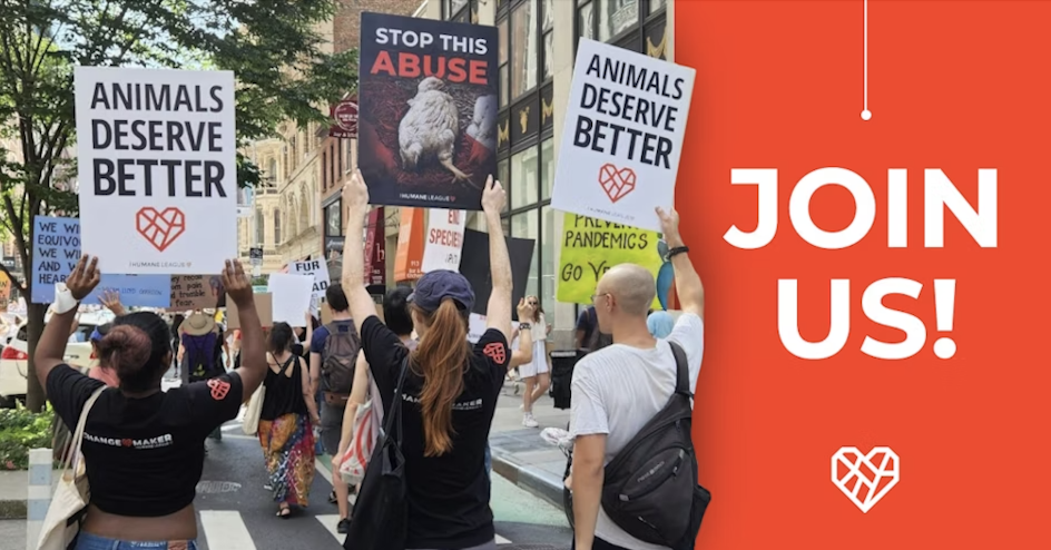 The Humane League