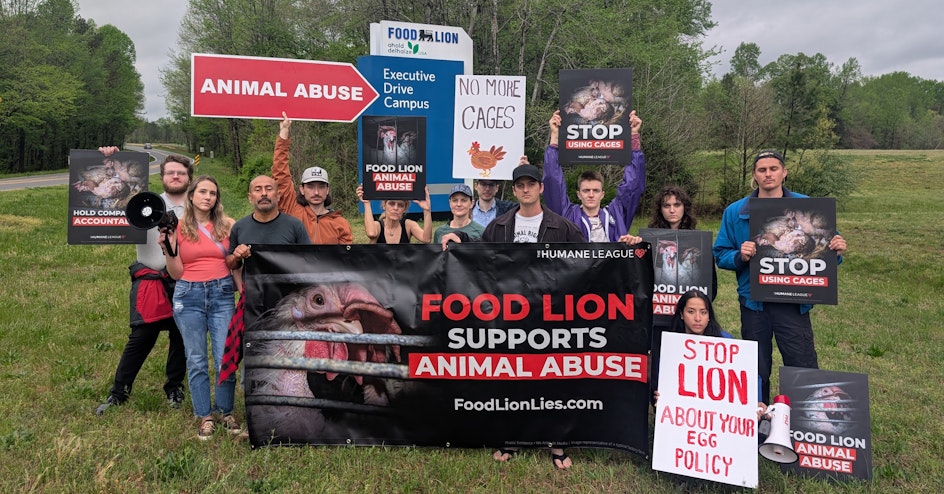 The Humane League