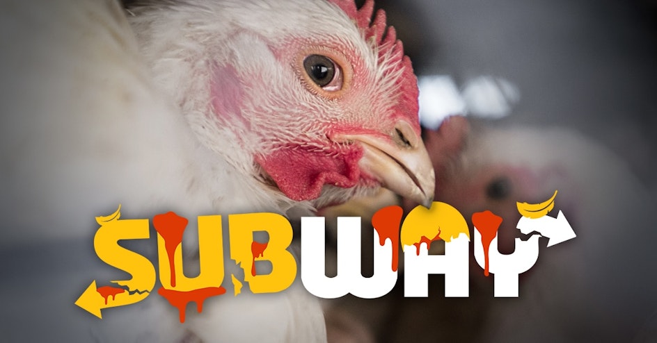 The Humane League