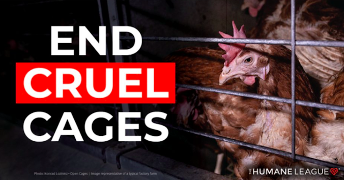 The Humane League