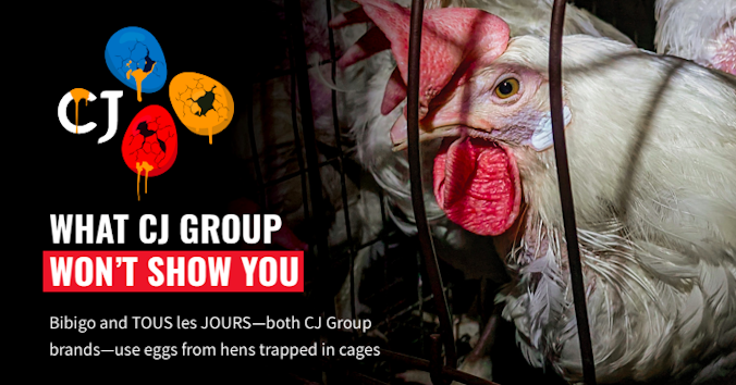 The Humane League