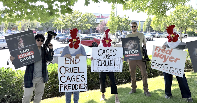 The Humane League
